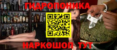 скорость Обь