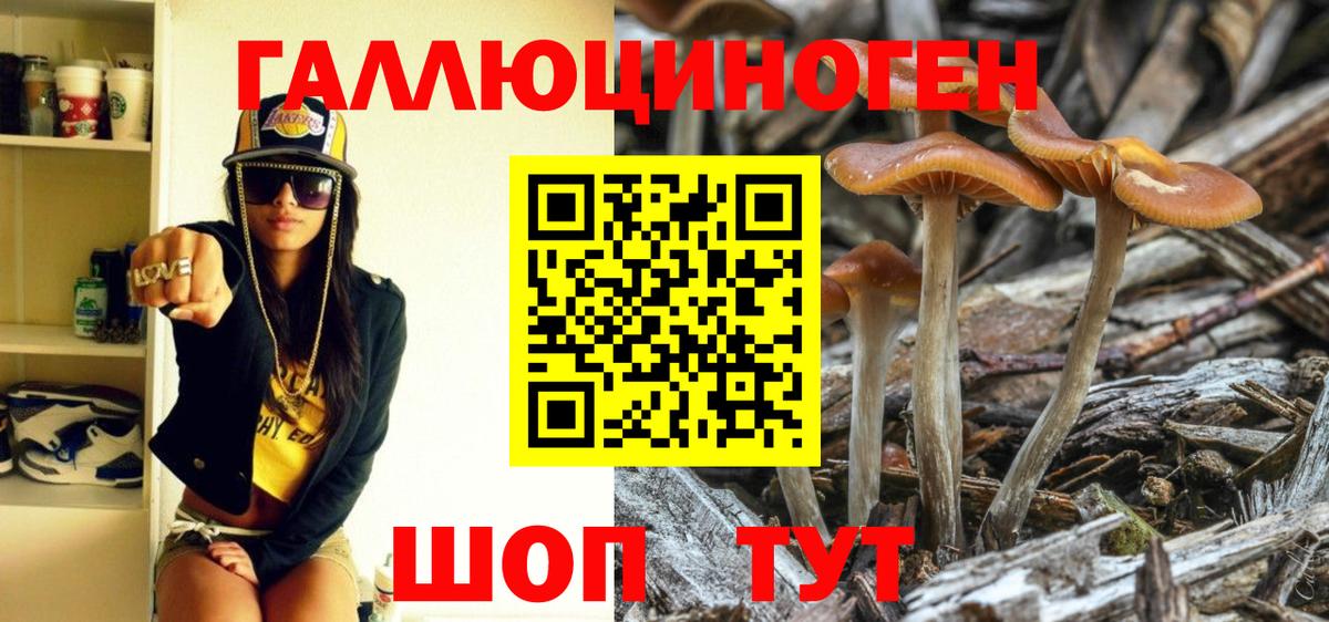 Галлюциногенные грибы GOLDEN TEACHER Печора